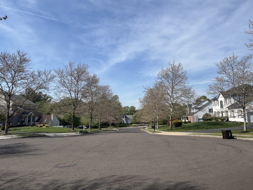 spring tree stress